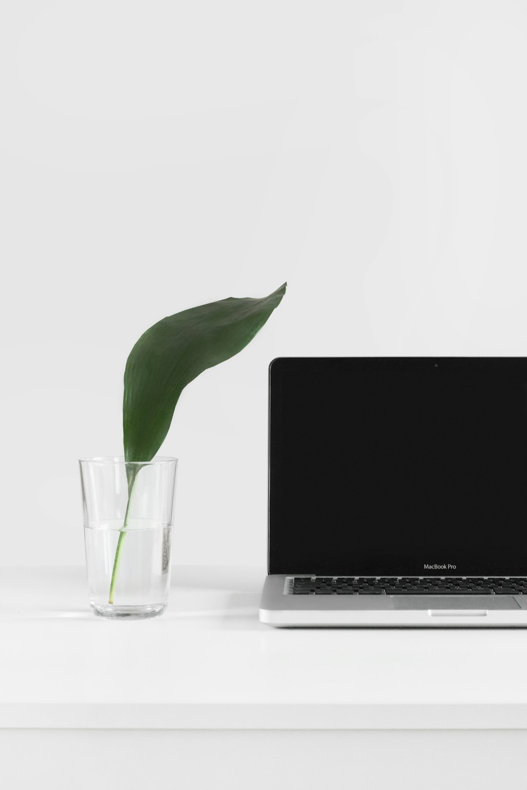 Notion productivity
